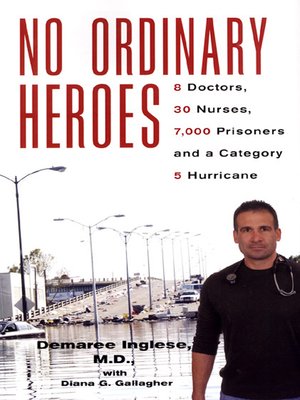 cover image of No Ordinary Heroes